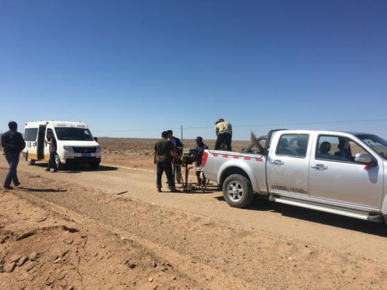 图片1.png 图片1.png